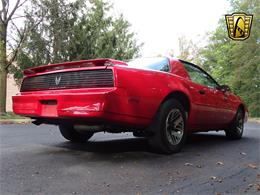 1984 Pontiac Firebird (CC-1033612) for sale in West Deptford, New Jersey