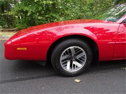 1984 Pontiac Firebird (CC-1033612) for sale in West Deptford, New Jersey