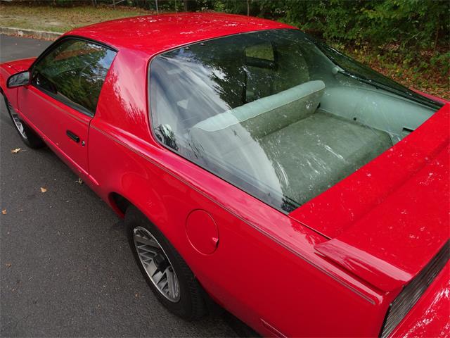 1984 Pontiac Firebird (CC-1033612) for sale in West Deptford, New Jersey