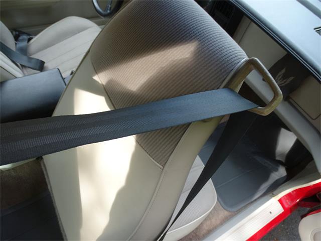 1984 Pontiac Firebird (CC-1033612) for sale in West Deptford, New Jersey