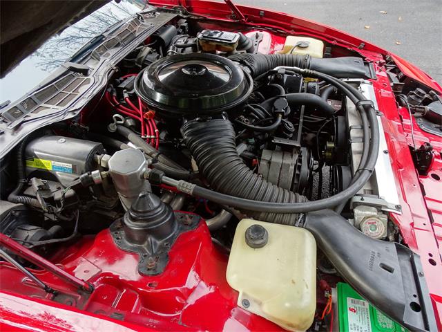 1984 Pontiac Firebird (CC-1033612) for sale in West Deptford, New Jersey