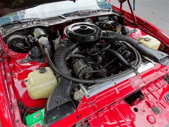 1984 Pontiac Firebird (CC-1033612) for sale in West Deptford, New Jersey