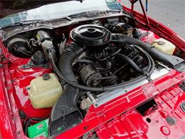 1984 Pontiac Firebird (CC-1033612) for sale in West Deptford, New Jersey