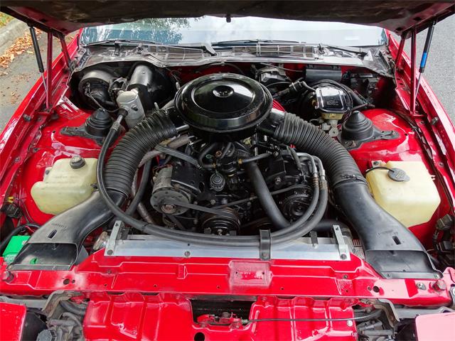 1984 Pontiac Firebird (CC-1033612) for sale in West Deptford, New Jersey