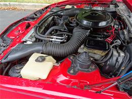1984 Pontiac Firebird (CC-1033612) for sale in West Deptford, New Jersey