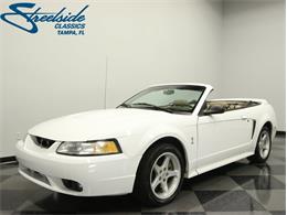 1999 Ford Mustang Cobra (CC-1034617) for sale in Lutz, Florida