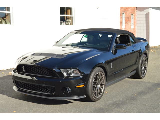 2012 Shelby GT500 (CC-1034727) for sale in Springfield, Massachusetts