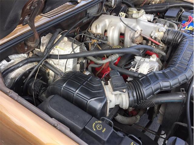 1985 Ford Bronco II (CC-1030490) for sale in Punta Gorda, Florida