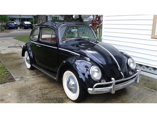 1961 Volkswagen Beetle (CC-1035348) for sale in Saint Petersburg, Florida