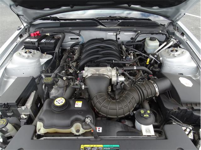 2006 Ford Mustang GT (CC-1035413) for sale in Greensboro, North Carolina