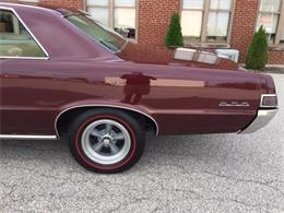 1965 Pontiac GTO (CC-1035414) for sale in Milford, Ohio