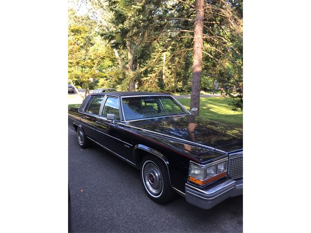 1981 Cadillac Fleetwood Brougham (CC-1036820) for sale in Clifton, New Jersey