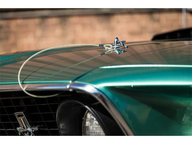 1969 Ford Mustang 428 Cobra Jet "R" Code (CC-1036949) for sale in Wallingford, Connecticut