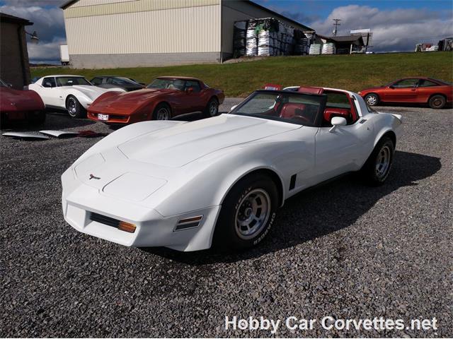 1981 Chevrolet Corvette (CC-1037166) for sale in Martinsburg, Pennsylvania