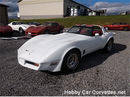 1981 Chevrolet Corvette (CC-1037166) for sale in Martinsburg, Pennsylvania