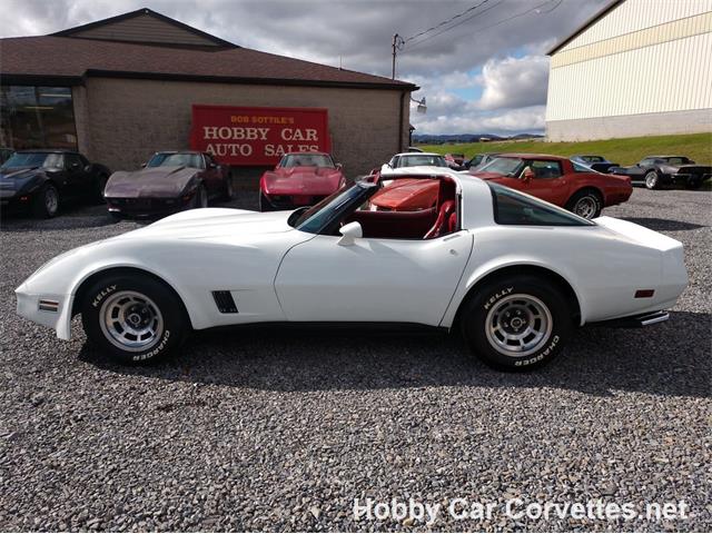 1981 Chevrolet Corvette (CC-1037166) for sale in Martinsburg, Pennsylvania