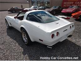 1981 Chevrolet Corvette (CC-1037166) for sale in Martinsburg, Pennsylvania