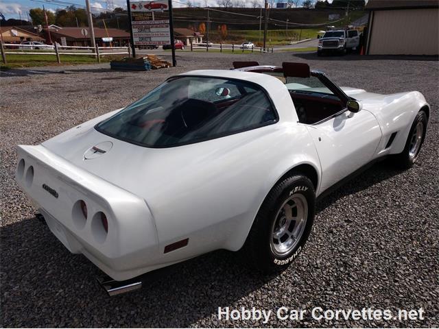 1981 Chevrolet Corvette (CC-1037166) for sale in Martinsburg, Pennsylvania