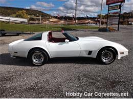 1981 Chevrolet Corvette (CC-1037166) for sale in Martinsburg, Pennsylvania