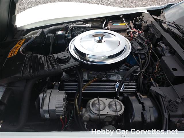 1981 Chevrolet Corvette (CC-1037166) for sale in Martinsburg, Pennsylvania