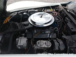 1981 Chevrolet Corvette (CC-1037166) for sale in Martinsburg, Pennsylvania