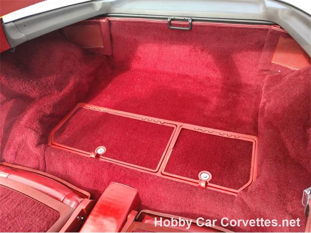 1981 Chevrolet Corvette (CC-1037166) for sale in Martinsburg, Pennsylvania