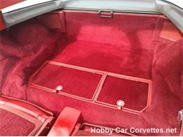 1981 Chevrolet Corvette (CC-1037166) for sale in Martinsburg, Pennsylvania