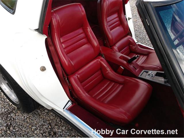 1981 Chevrolet Corvette (CC-1037166) for sale in Martinsburg, Pennsylvania