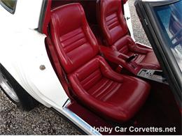 1981 Chevrolet Corvette (CC-1037166) for sale in Martinsburg, Pennsylvania