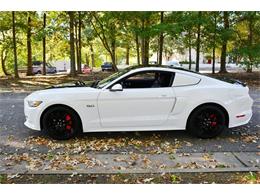 2015 Ford Mustang GT 50th Anniversary Edition (CC-1037207) for sale in Greensboro, North Carolina