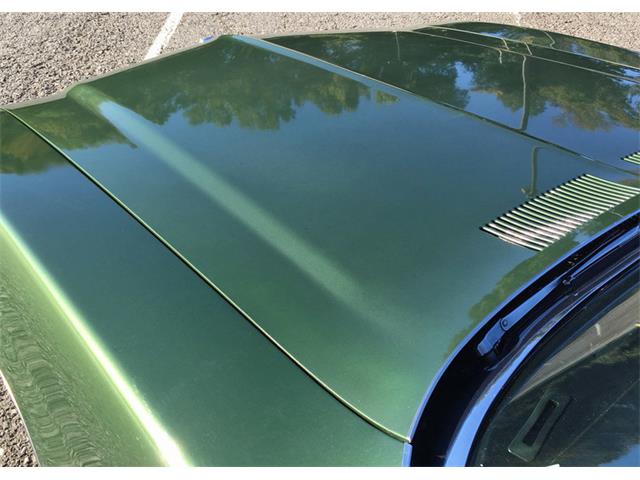 1972 Buick Skylark (CC-1037394) for sale in West Chester, Pennsylvania