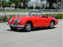 1959 Jaguar XK150 (CC-1037759) for sale in Fort Lauderdale, Florida