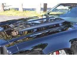 1976 Chevrolet El Camino (CC-1037764) for sale in Englewood, Florida