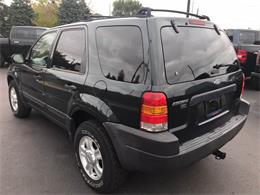 2003 Ford Escape (CC-1038148) for sale in Monroe, Michigan