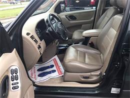2003 Ford Escape (CC-1038148) for sale in Monroe, Michigan