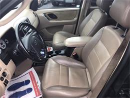 2003 Ford Escape (CC-1038148) for sale in Monroe, Michigan