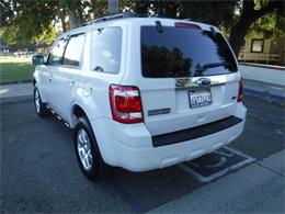2011 Ford Escape (CC-1038512) for sale in Thousand Oaks, California