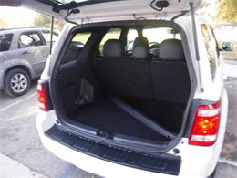 2011 Ford Escape (CC-1038512) for sale in Thousand Oaks, California