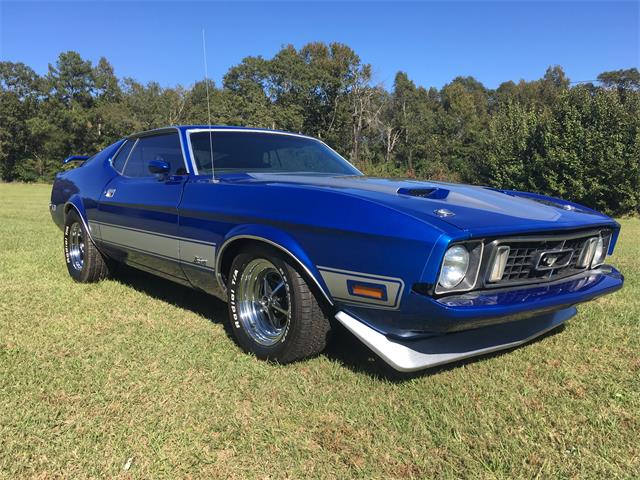 1973 Ford Mustang Mach 1 (CC-1038741) for sale in Phenix City, Alabama