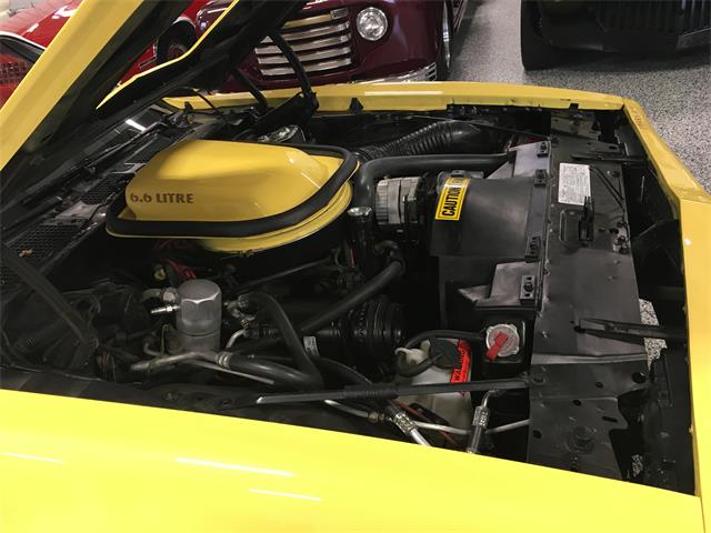 1978 Pontiac Firebird Trans Am (CC-1039067) for sale in Hamilton, Ohio