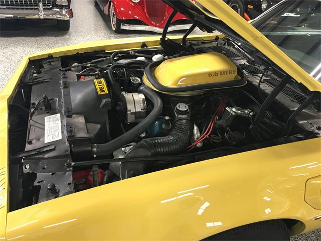 1978 Pontiac Firebird Trans Am (CC-1039067) for sale in Hamilton, Ohio