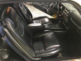 1978 Pontiac Firebird Trans Am (CC-1039067) for sale in Hamilton, Ohio
