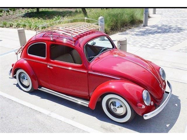 1955 Volkswagen Beetle (CC-1039555) for sale in Punta Gorda, Florida
