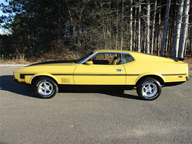 1973 Ford Mustang (CC-1040000) for sale in Ham Lake, Minnesota