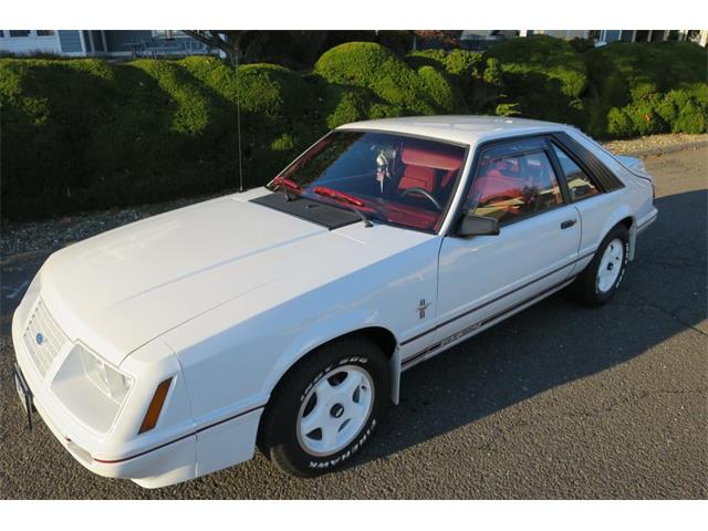 1984 Ford Mustang (CC-1041343) for sale in Milford City, Connecticut