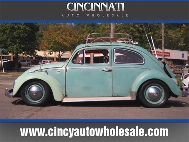 1962 Volkswagen Beetle (CC-1041491) for sale in Loveland, Ohio