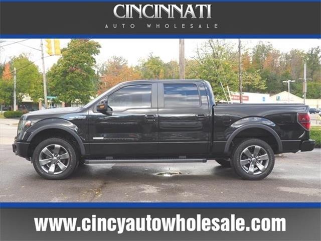 2013 Ford F150 (CC-1041513) for sale in Loveland, Ohio
