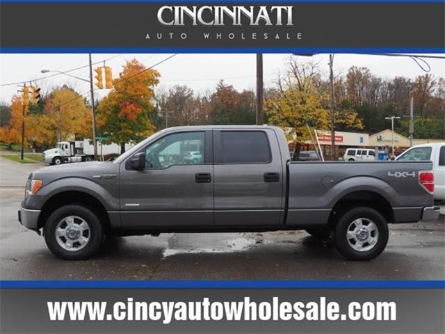 2013 Ford F150 (CC-1041557) for sale in Loveland, Ohio