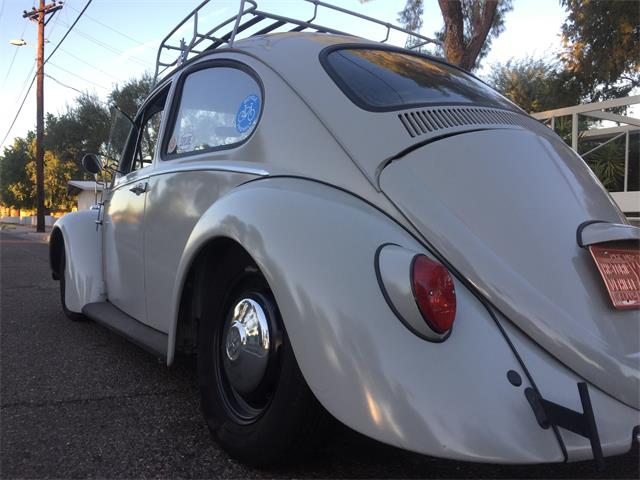 1966 Volkswagen Beetle (CC-1041971) for sale in gilbert, Arizona