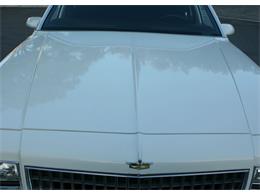 1986 Chevrolet Caprice (CC-1042744) for sale in Lakeland, Florida